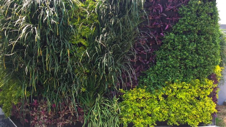 Edificio San Sebastián